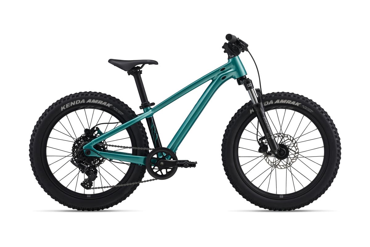 Giant STP 20 FS (2026)